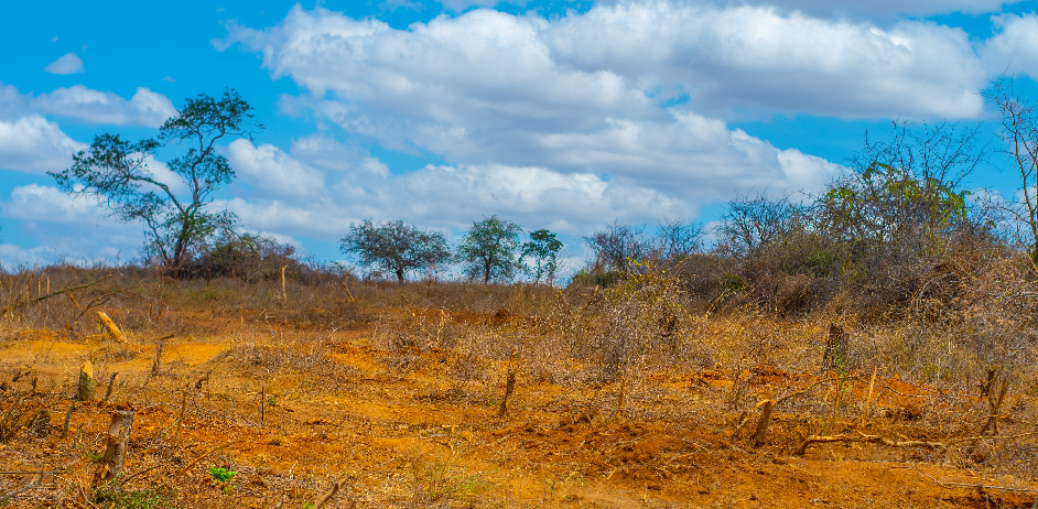 AMANI GARDENS PHASE 8 PLOTS FOR SALE IN KITHYOKO