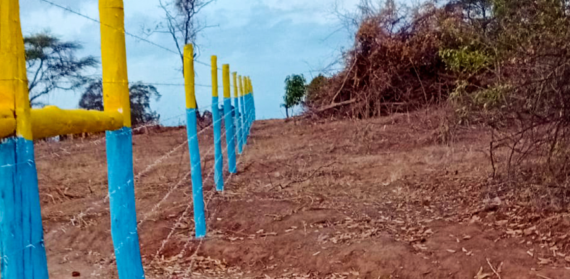 NEEMA GARDENS PHASE 1 PLOTS FOR SALE IN MAKUYU