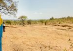 NEEMA GARDENS PHASE 1 PLOTS FOR SALE IN MAKUYU