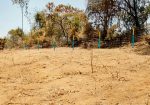 NEEMA GARDENS PHASE 1 PLOTS FOR SALE IN MAKUYU