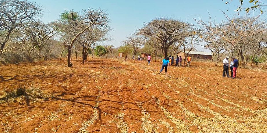 AMANI GARDENS PHASE 9 PLOTS FOR SALE IN KITHYOKO