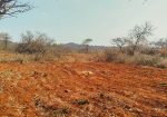 AMANI GARDENS PHASE 9 PLOTS FOR SALE IN KITHYOKO