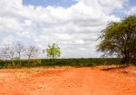 AMANI GARDENS PHASE 1A&B PLOTS FOR SALE IN KITHYOKO