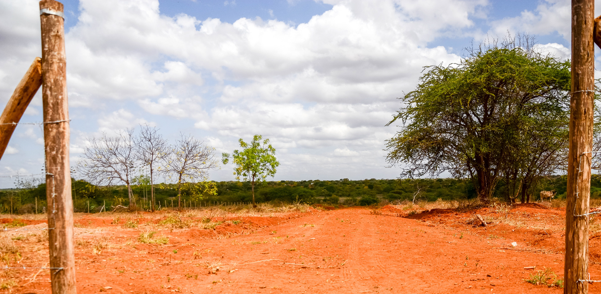AMANI GARDENS PHASE 1A&B PLOTS FOR SALE IN KITHYOKO