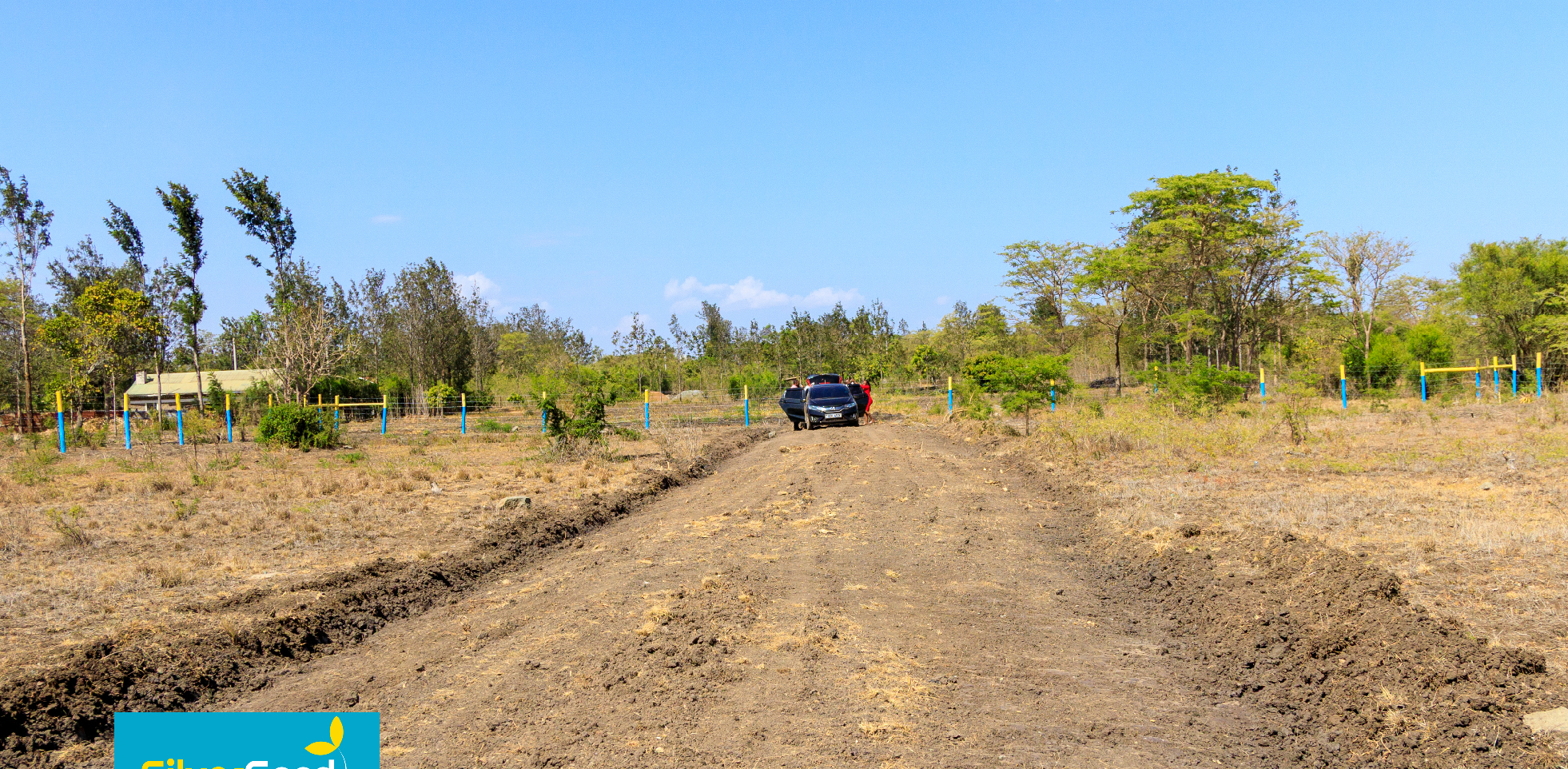 OLIVE COURTS PHASE 6 PLOTS FOR SALE IN THIKA