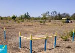 OLIVE COURTS PHASE 6 PLOTS FOR SALE IN THIKA