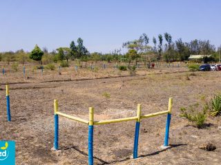 website-photographs-2025-16