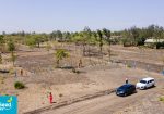 OLIVE COURTS PHASE 6 PLOTS FOR SALE IN THIKA