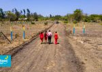 OLIVE COURTS PHASE 6 PLOTS FOR SALE IN THIKA